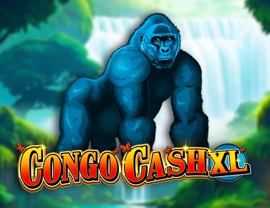 Congo Cash XL